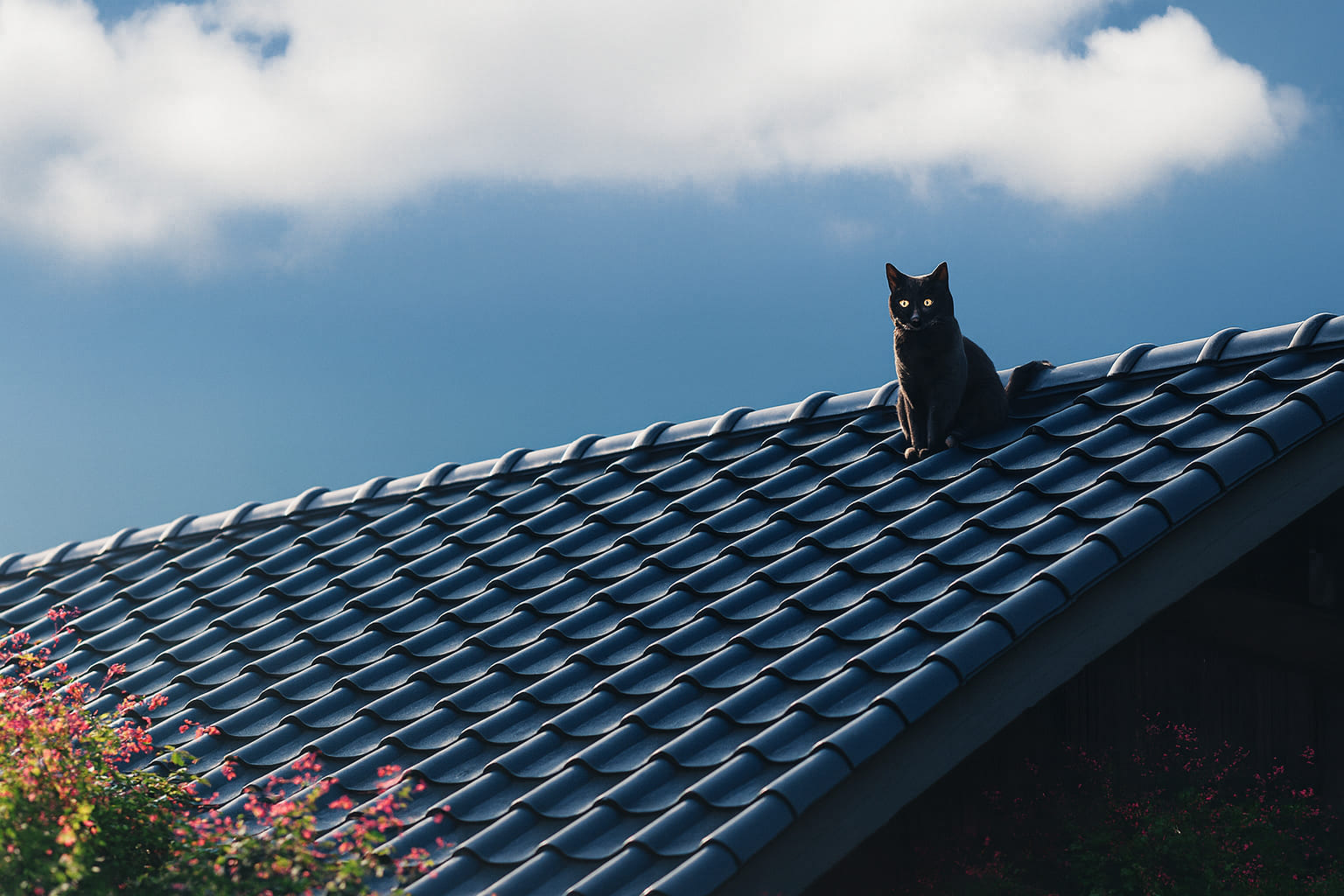Dachdecker Stuttgart – Qualität & Sicherheit vom Meisterbetrieb